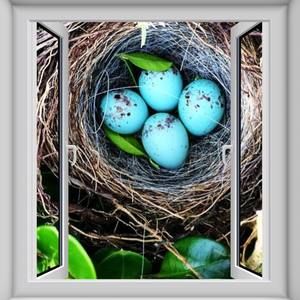 Meet your Posher, Michele